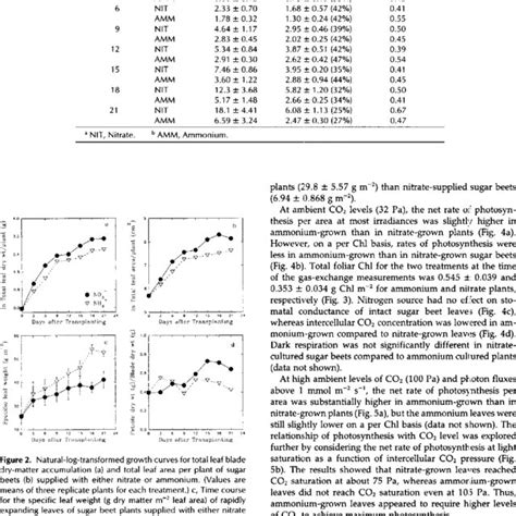 Dry weights of storage root and fibrous roots and total rootshoot ratio... | Download Table