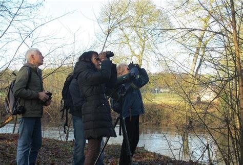 Quand Les Oiseaux Prennent Leurs Quartiers D Hiver