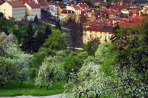 Explore Prague Holidays And Discover The Best Time And Places To Visit Prague Holidays Prague