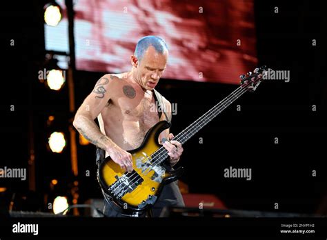 Flea Of The Red Hot Chili Peppers Performs During The Hangout Music Festival On May In