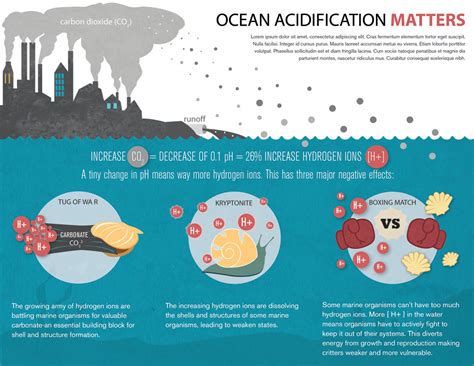 Ocean acidification infographic | Ocean acidification