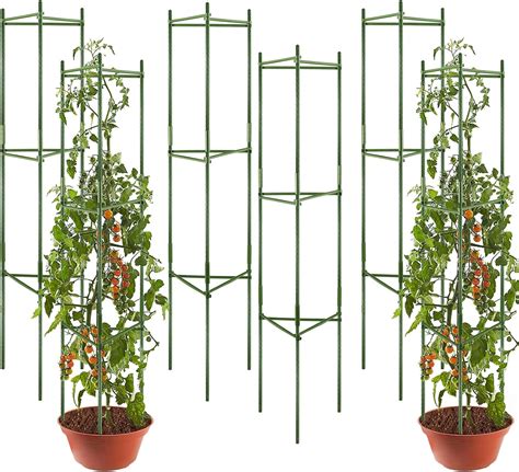 6 Pack Tomato Cages Supports Plant Support Deformable Assembled Tomato Stakes Up To 48in Multi