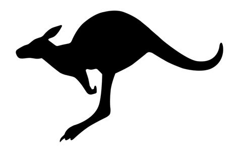 Kangaroo Clipart Black And White Digital Handdrawn Illustration Clip