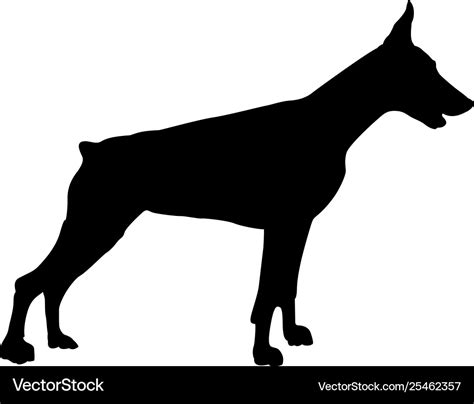 Doberman dog silhouette Royalty Free Vector Image