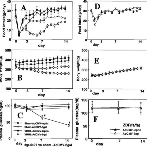 Food Intake A Body Weight B Plasma Glucose In Sl And Vmhl Male