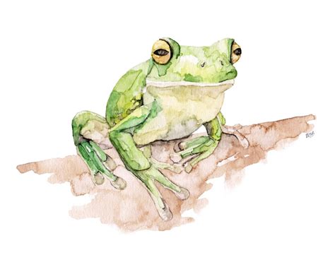 Tree Frog Painting Print from Original Watercolor Painting