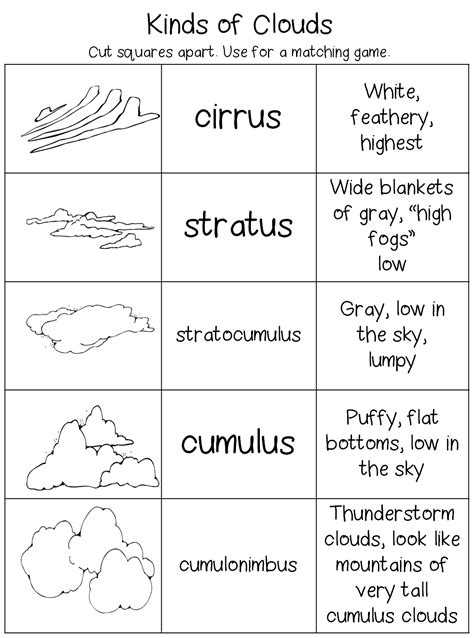 Clouds And What They Mean Worksheet