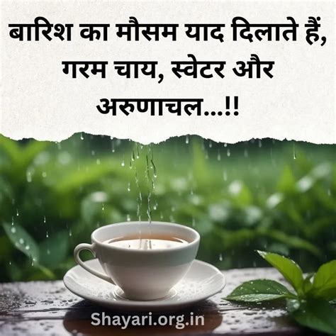 Best Nature Quotes In Hindi