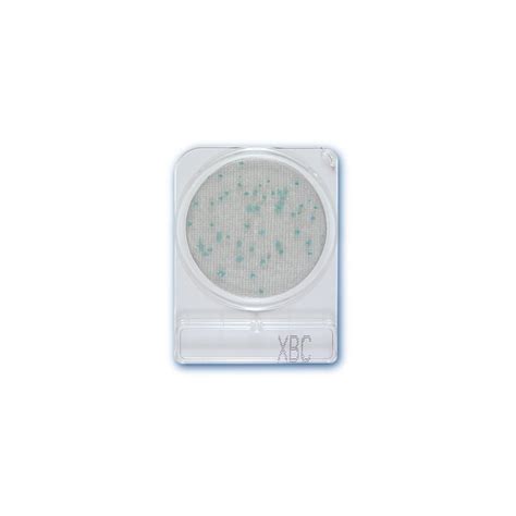 Compact Dry X BC Bacillus Cereus 65 00