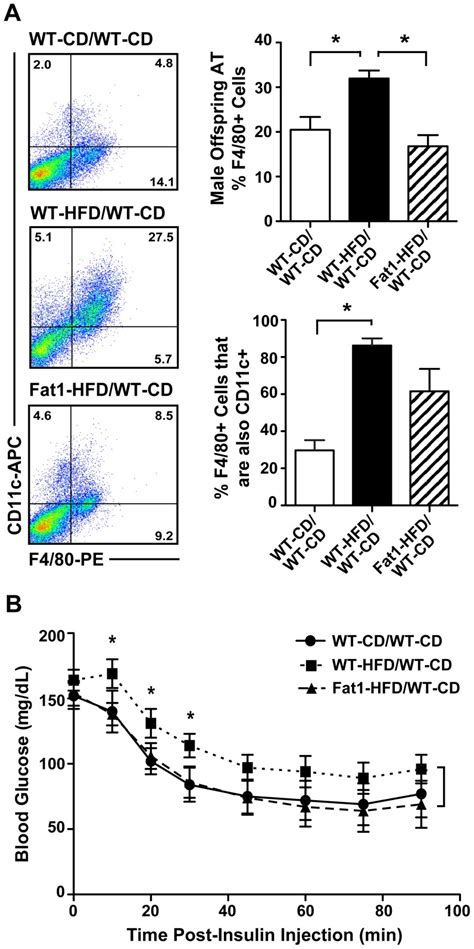 A Adipose Tissue At Macrophage Quantitation By Flow Cytometry