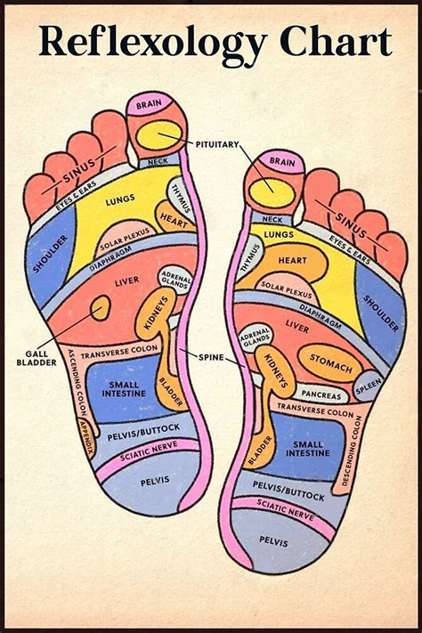 Foot Reflexology Chart Poster 2 Massage Therapist T Poster Vintage