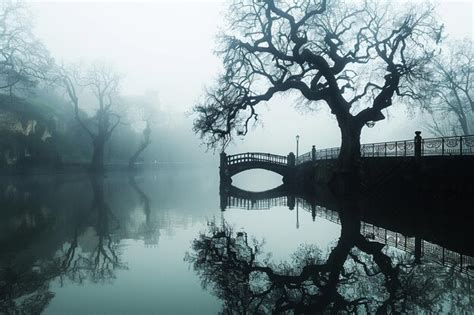 Premium Photo Zenith Zen Calm And Serene Aesthetic Wallpaper Collection