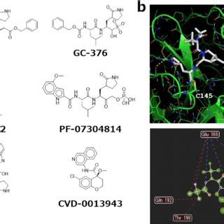 Examples of known main protease inhibitors. (a) Structural formulas of ...