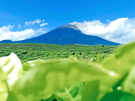 Ini 8 Objek Wisata Di Kabupaten Kerinci Yang Wajib Dikunjungi Saat