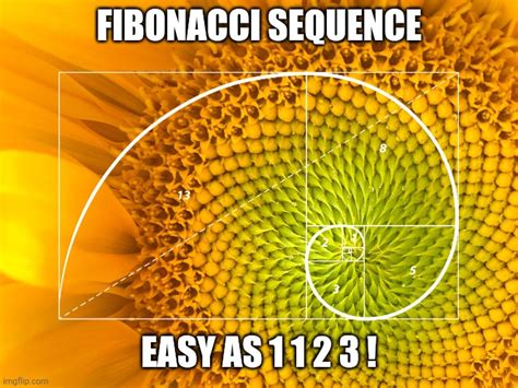 Fibonacci Has One A One B Two Cs Designed By An Og Imgflip