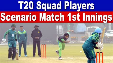 Highlights T20 Squad Players Scenario Match Before Pak Vs Nz T20