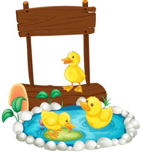 Duck Pond Clip Art Illustrations, Royalty-Free Vector Graphics & Clip ...