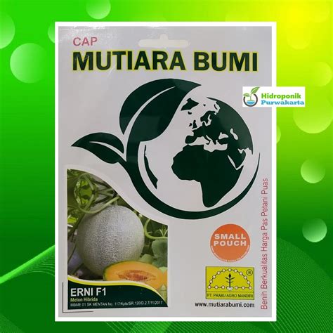 Jual BENIH MELON HIBRIDA ERNI F1 ISI 40 BUTIR TAHAN VIRUS CAP MUTIARA