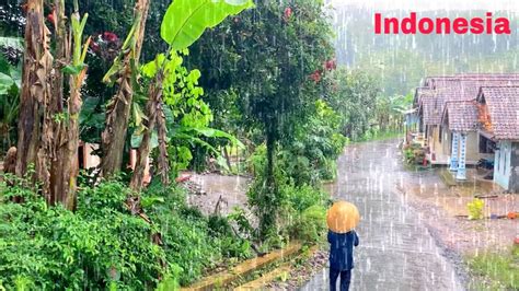 Rain In Heavenly Village Indonesian Rural Atmosphere Indonesian