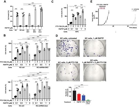 The Combination Of PAPTP And FTY 720 Kills Pancreas Cancer Cells A KC