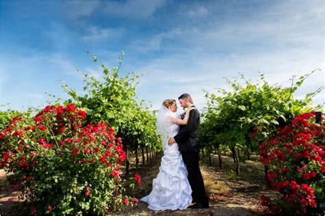 Berghold Winery, Lodi Wedding Photographer, Jon and Sarah