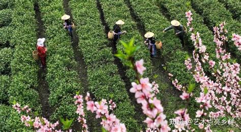 乡村振兴：如何让农村产业、景观焕发新生机？ 知乎