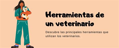 Herramientas Que Usa Un Veterinario Nombres Dibujos Y M S