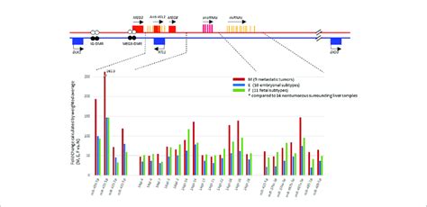 Schema Of The Dlk1 Dio3 Imprinted Locus On Chromosome 14q322 And