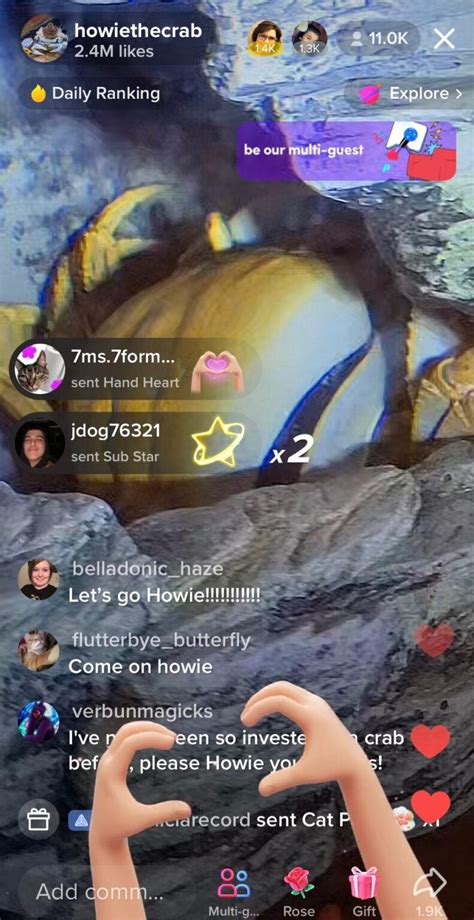 Howie The Crab Finally Molted Live On Tiktok