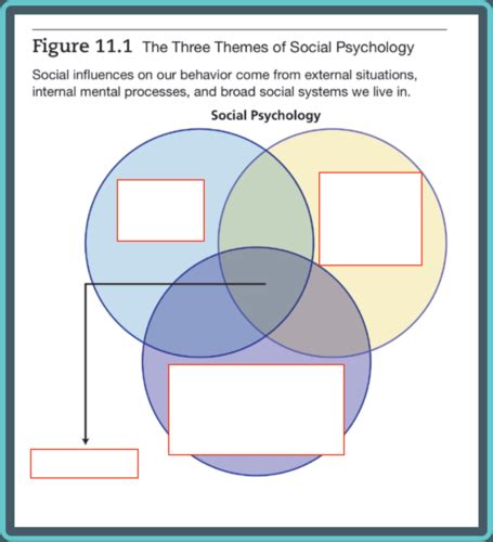 Social Psychology Flashcards Quizlet