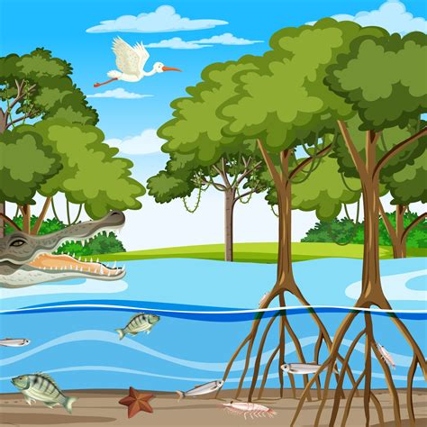 Mangrove Tree Cartoon