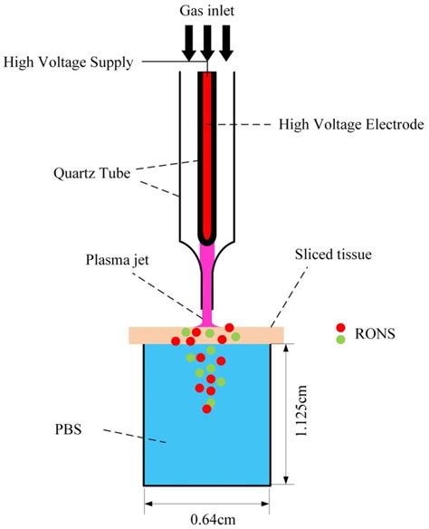 Plasma Free Full Text Plasma Medicine A Brief Introduction