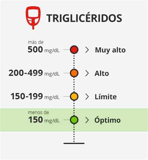 Resistencia A La Insulina Puntos Clave Mundo Entrenamiento