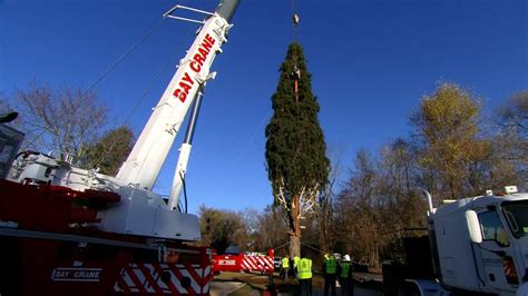 Watch: 30 Rock Christmas Tree Heads to New York – NBC New York