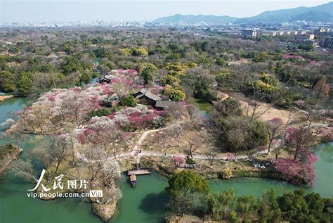 浙江杭州：西溪湿地“曲水寻梅”【9】 图片频道 人民网