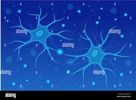 Cuerpo Humano D Y Anatomia Del Cerebro Immagini Vettoriali Stock Alamy