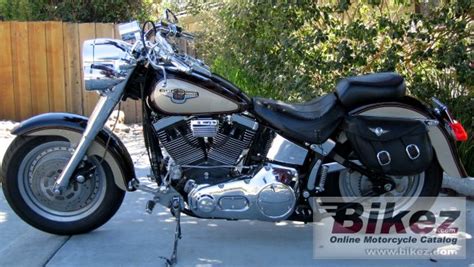 Harley Davidson Softail Fat Boy Gallery