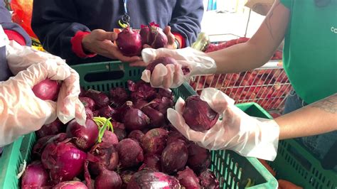 Connecting Food Distribuiu 600t De Alimentos No Nordeste Em 2023