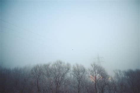 Free Images Wing Cloud Sky Fog Mist Morning Wind Weather Haze