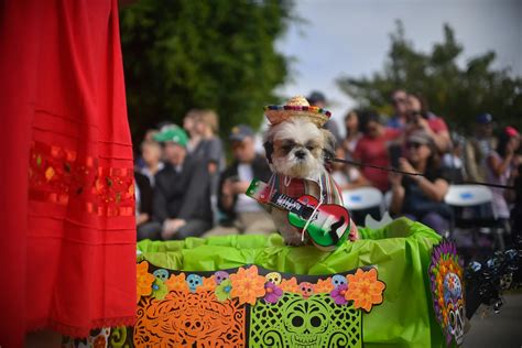 Robbinsville's Having a Halloween Pet Parade