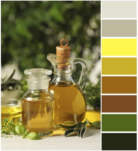 Different Fresh Herbs With Oils On White Wooden Table And Color Palette