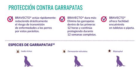 Bravecto Latam Universo De La Salud Animal