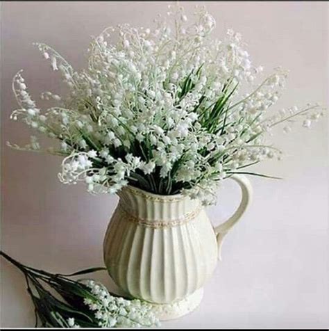 1000+ images about muguet on Pinterest | May flowers, Spring and Flower
