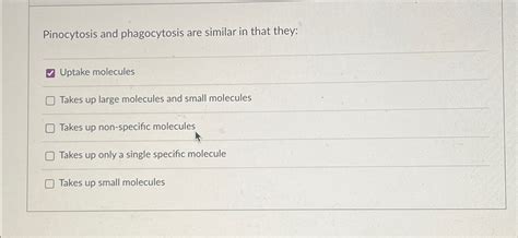 Solved Pinocytosis and phagocytosis are similar in that | Chegg.com