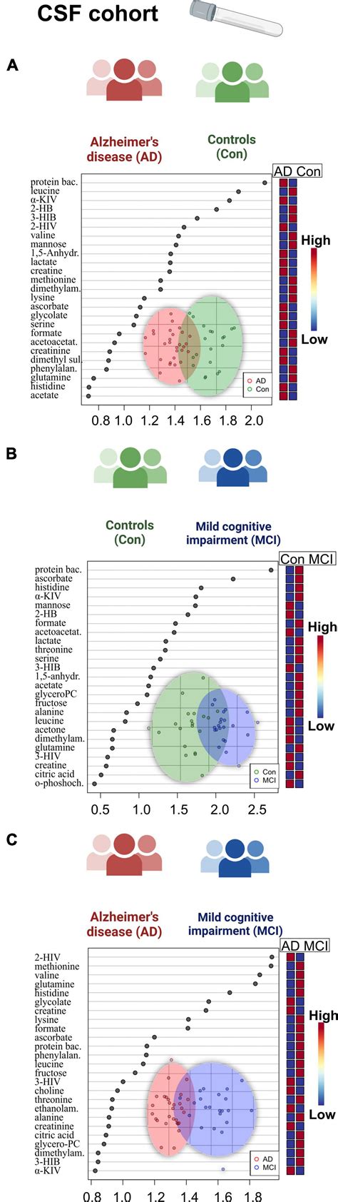 Frontiers Metabolomic Profiling Of Csf And Blood Serum Elucidates