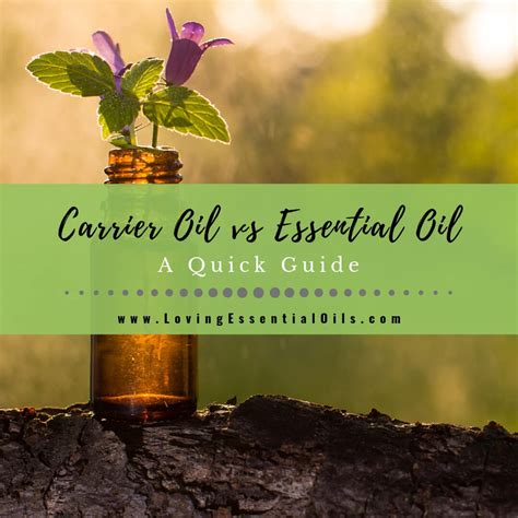 Carrier Oil Vs Essential Oil Whats The Difference A Quick Guide