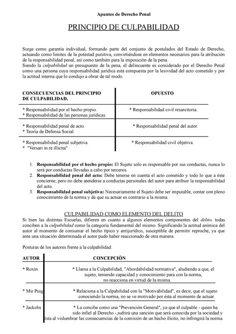 Principio De Culpabilidad Trabajo Pr Ctico Apuntes De Derecho Penal