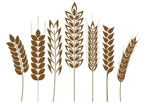 Фульвогумат Иван Овсинский | Иван Овсинский