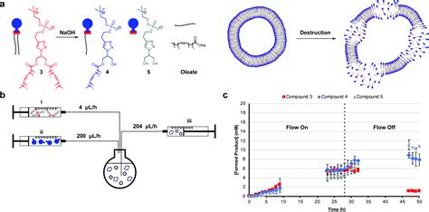 Dissipative Self Assembly Competition And Inhibition In A Self