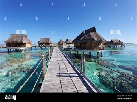 Bungalows Bungalows De Agua En El Muelle De Laguna Tikehau Pearl